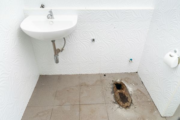 Toilet Disposal in Lake Zurich